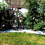 Casa Sabina Διαμέρισμα *